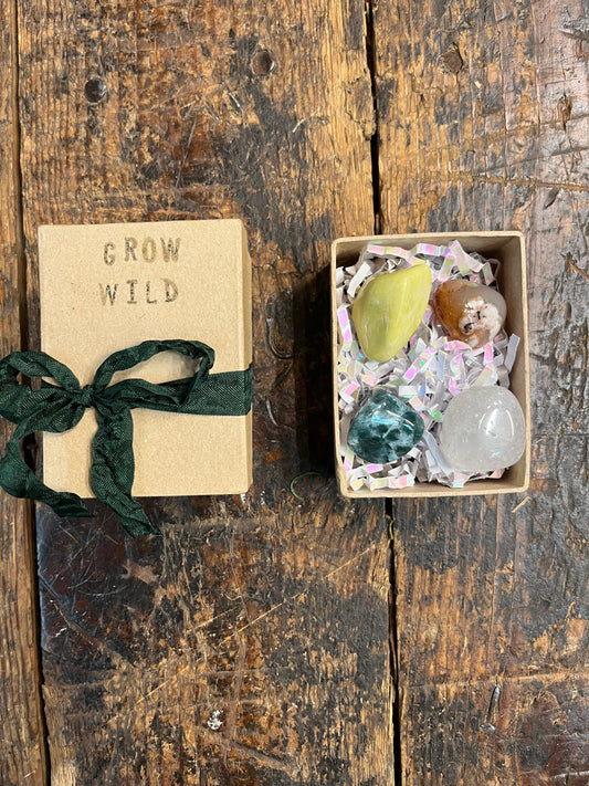 Grow Wild Crystal Box