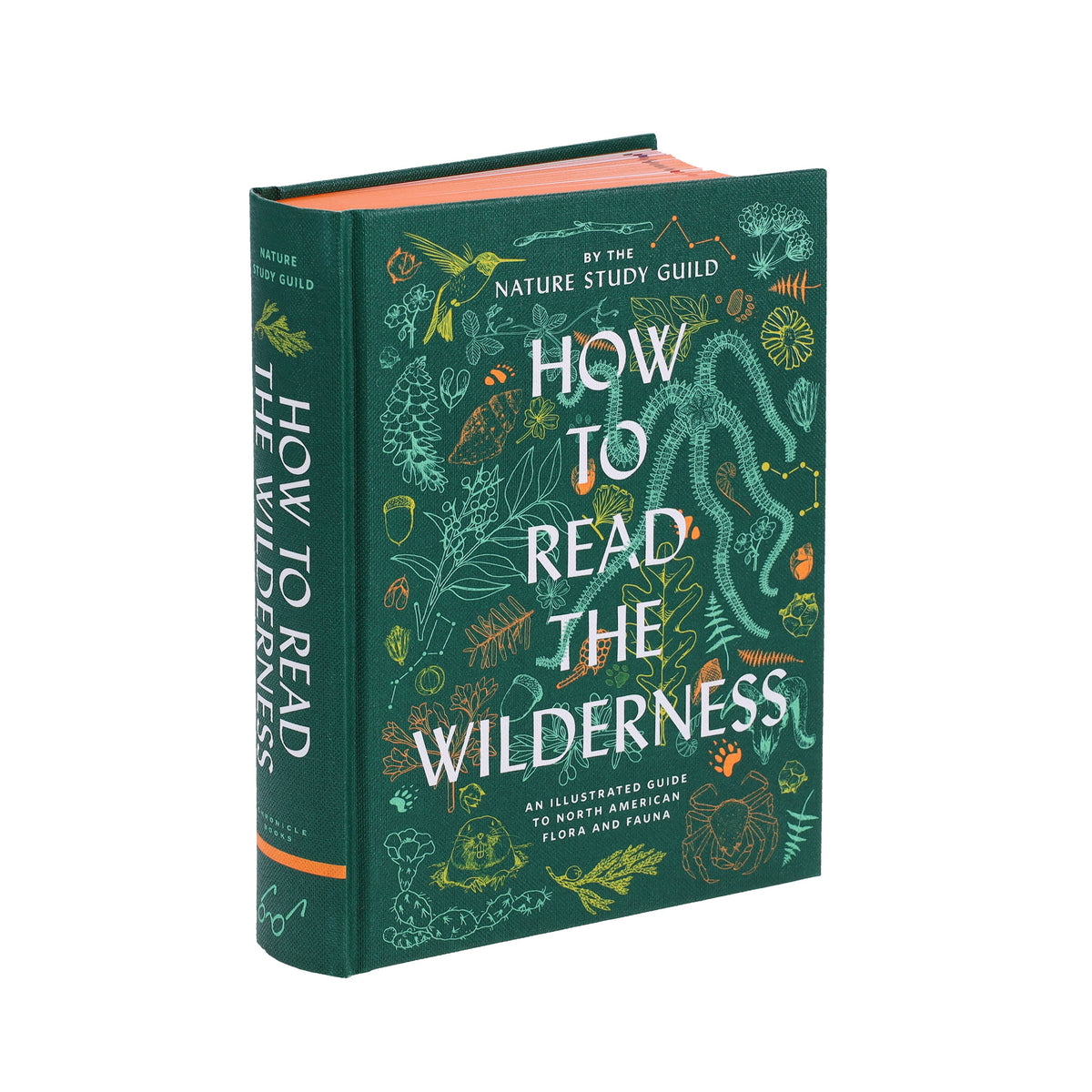 How to Read the Wilderness