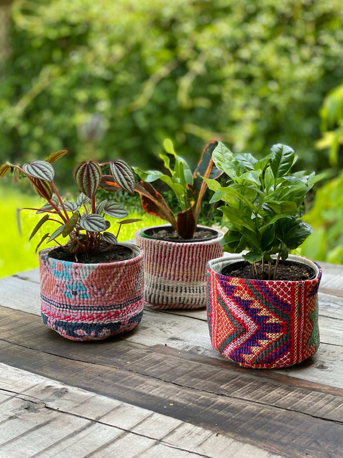 Assorted Pattern Soft Cozie Container
