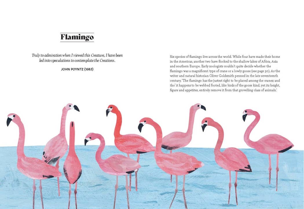 Bird Lore