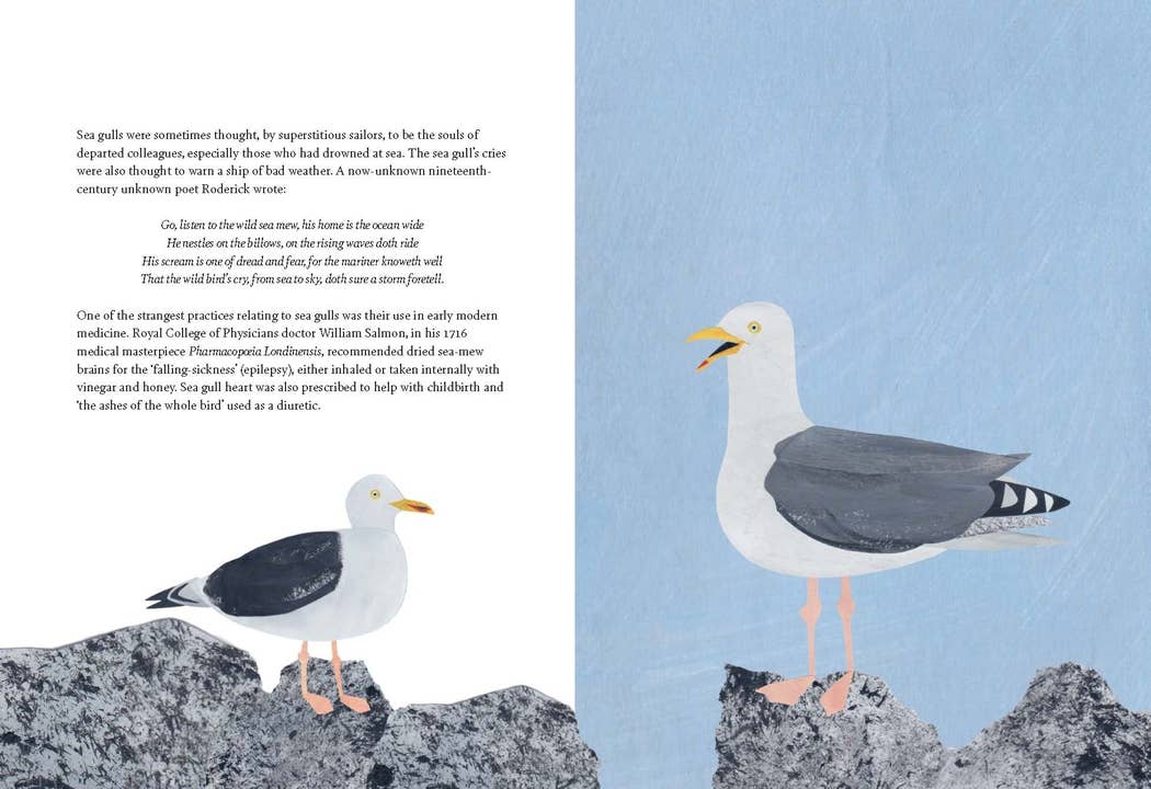 Bird Lore