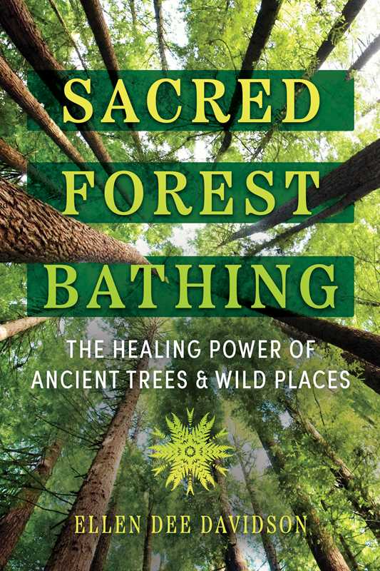 Sacred Forest Bathing by Ellen Dee Davidson