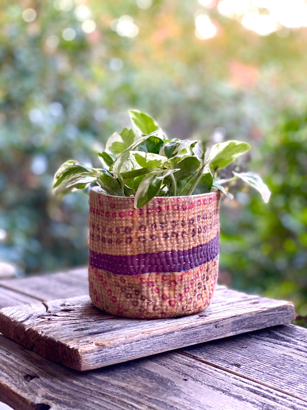 Assorted Pattern Soft Cozie Container