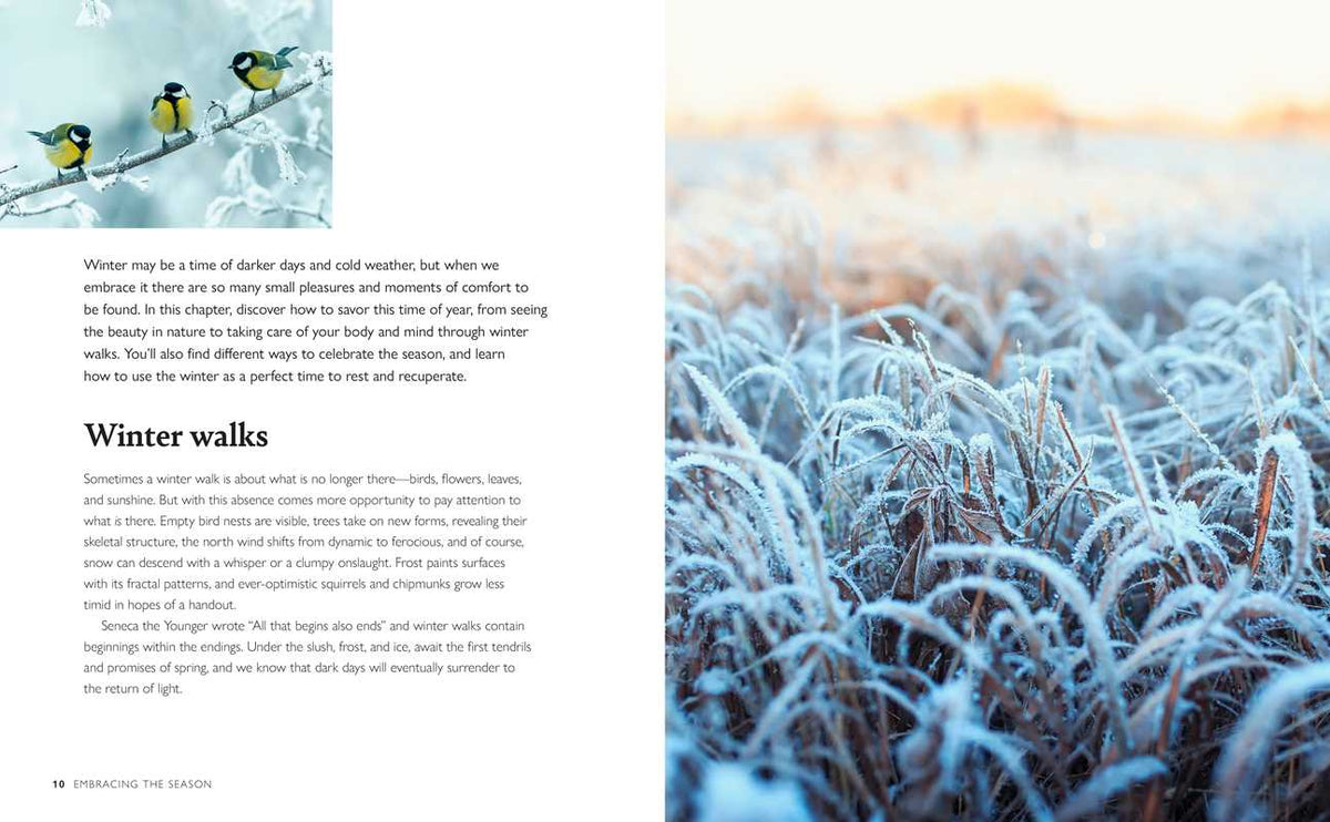 Winter Wellbeing by CICO Books