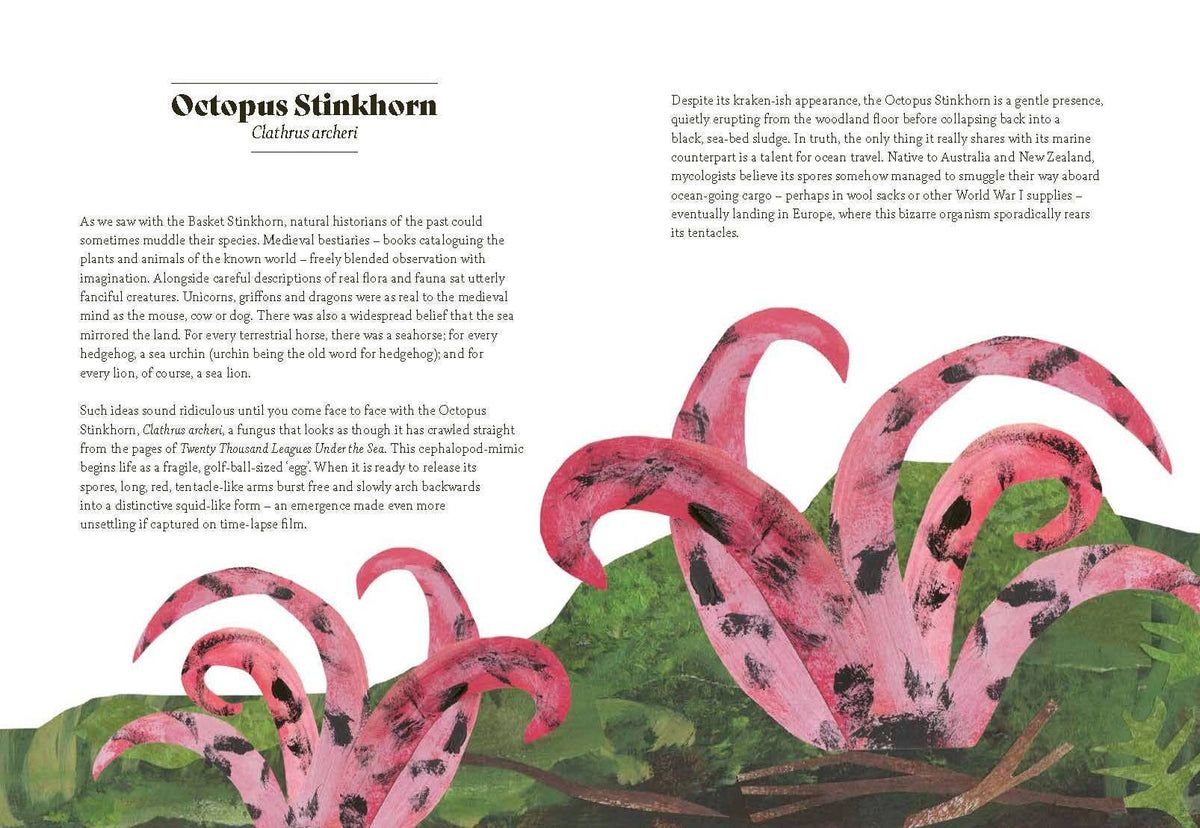 Fungi Lore