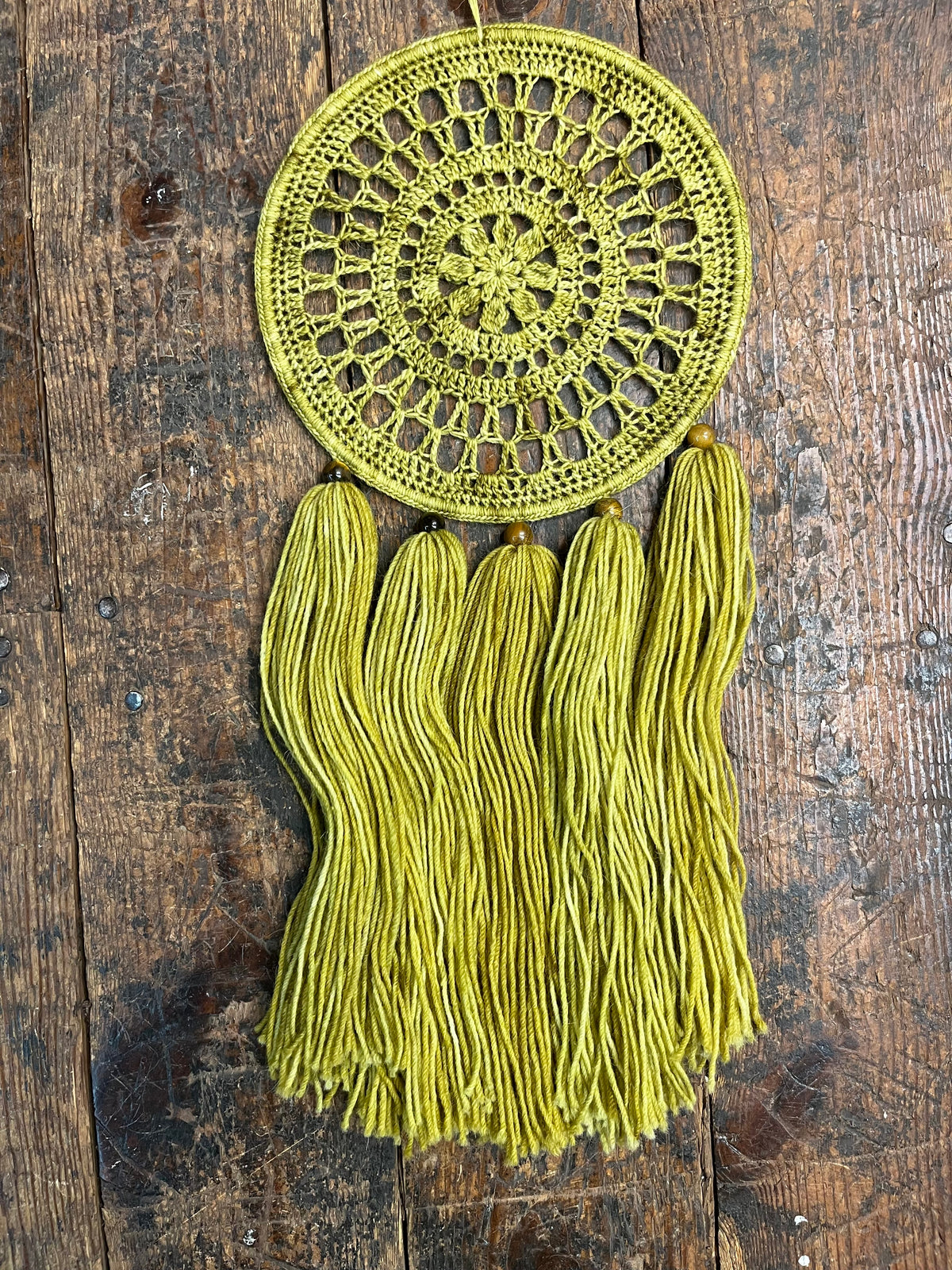 Sunlit Fern Dreamer
