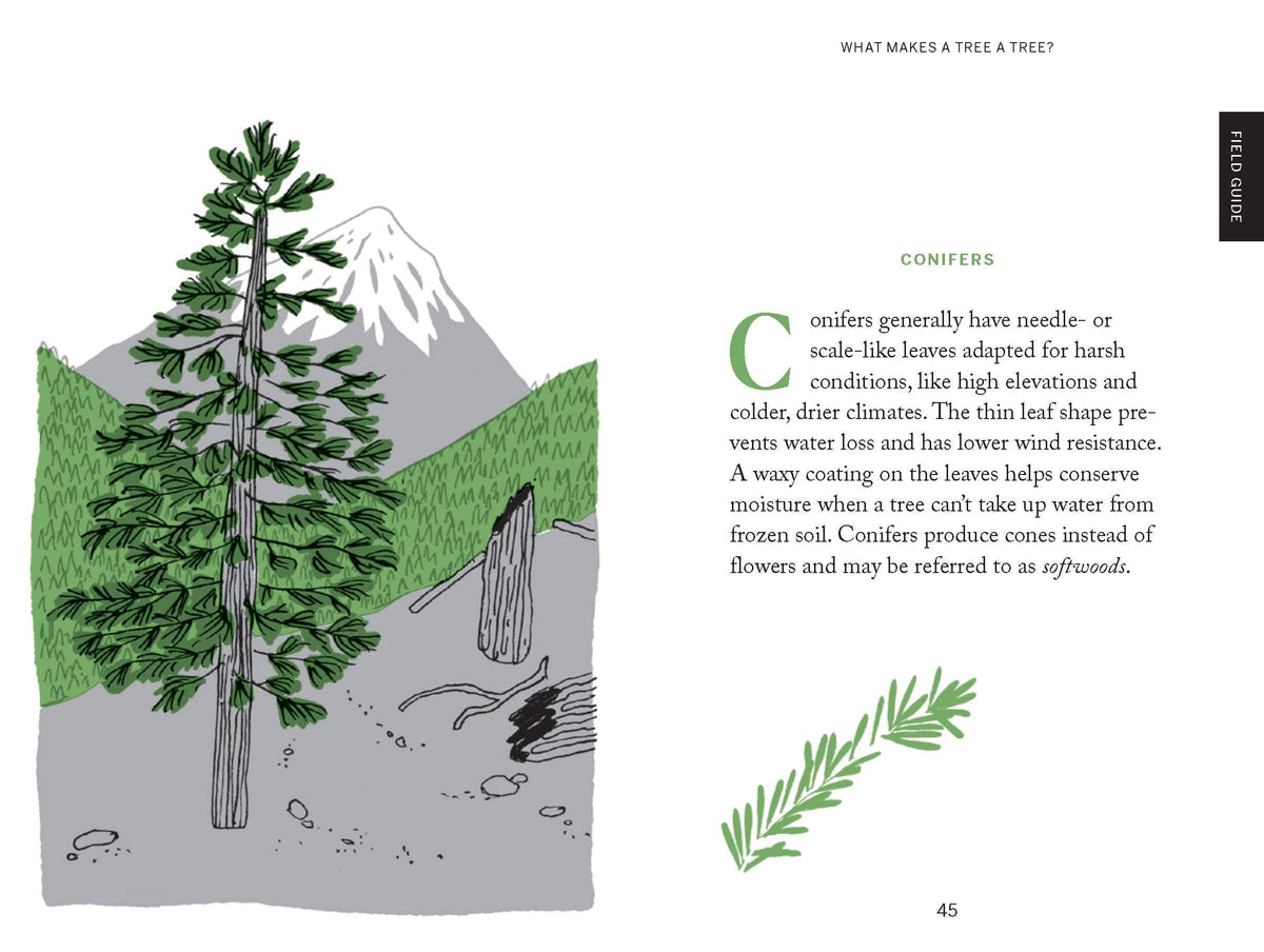 Pocket Nature: Tree Hugging