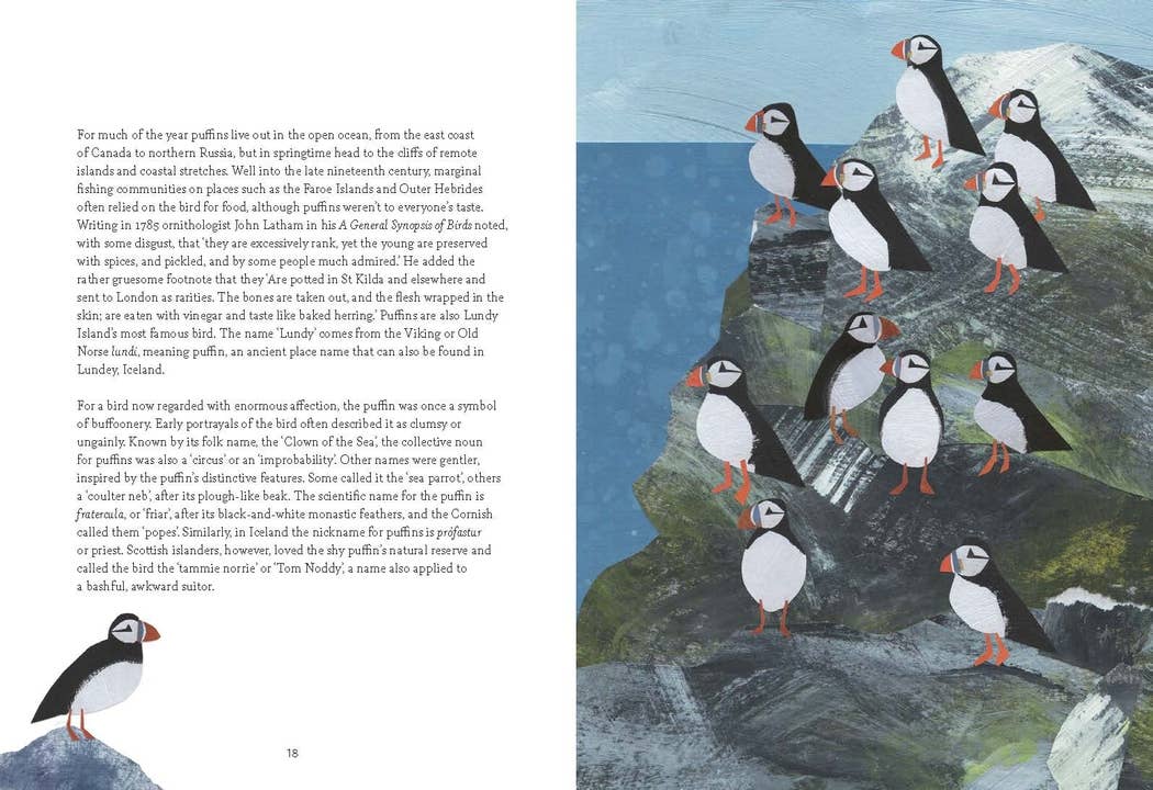 Bird Lore