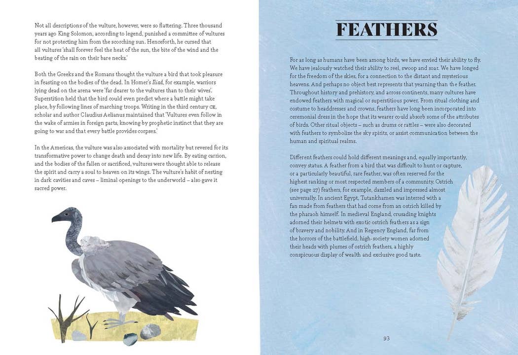Bird Lore