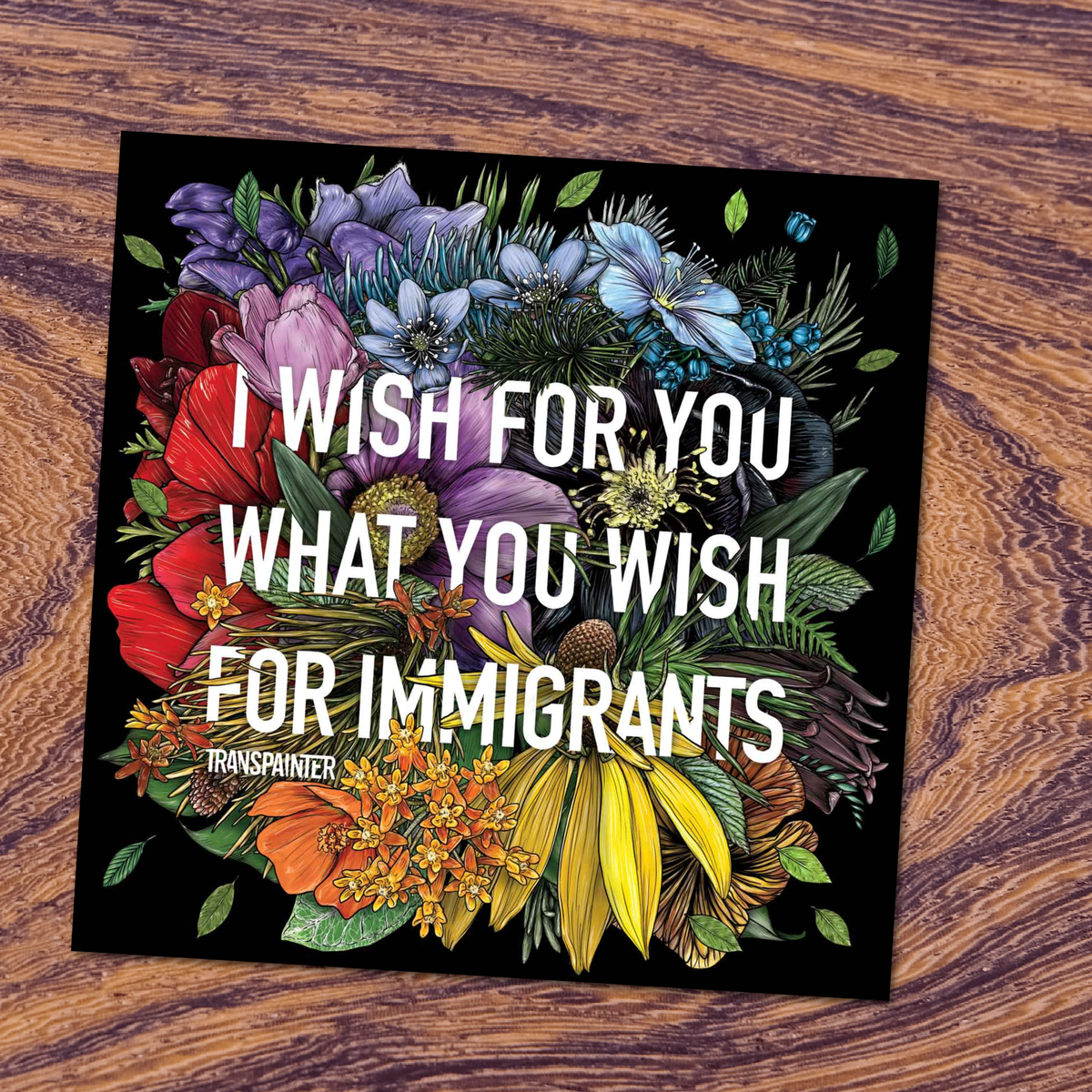 I Wish for You What You Wish for Immigrants Stickers