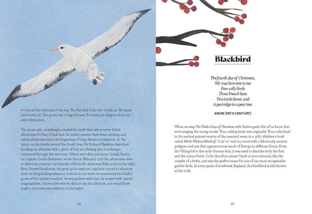 Bird Lore