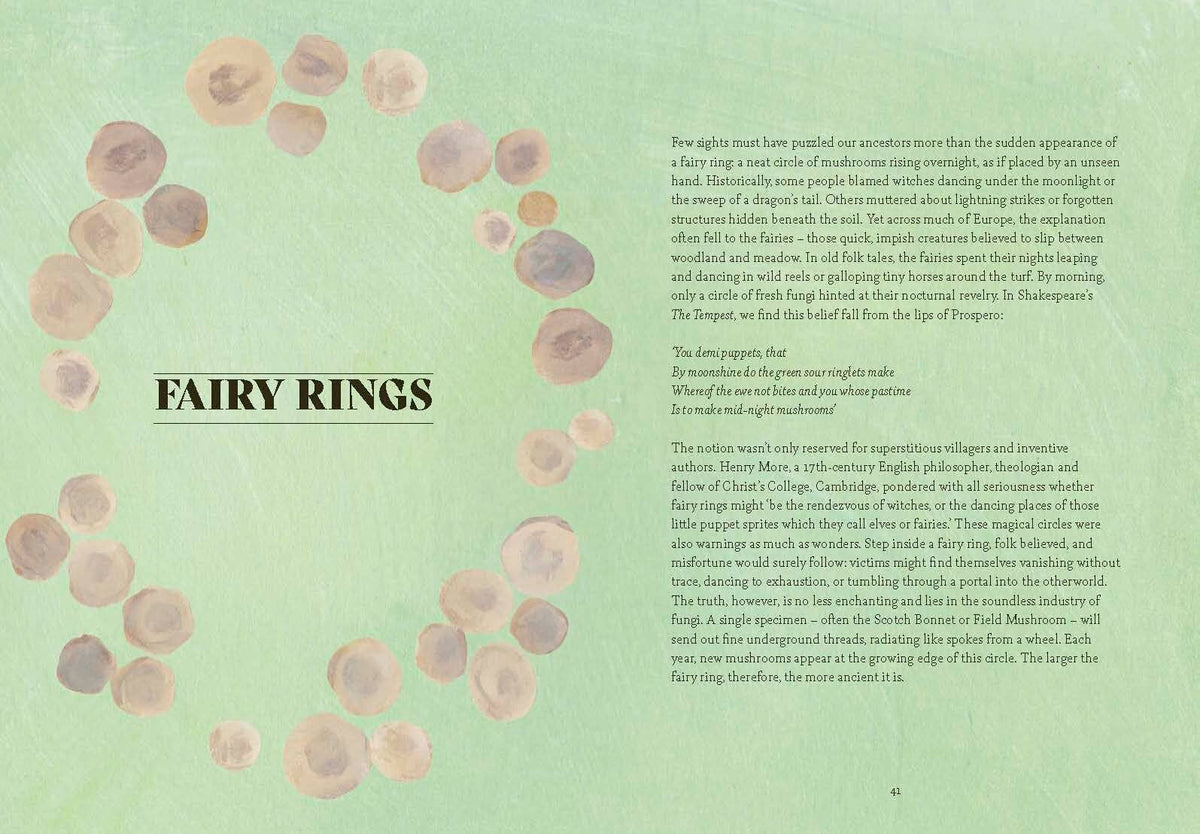 Fungi Lore