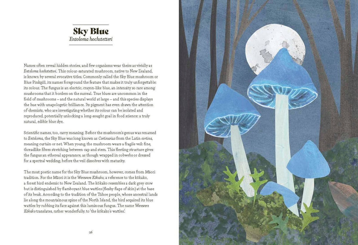 Fungi Lore