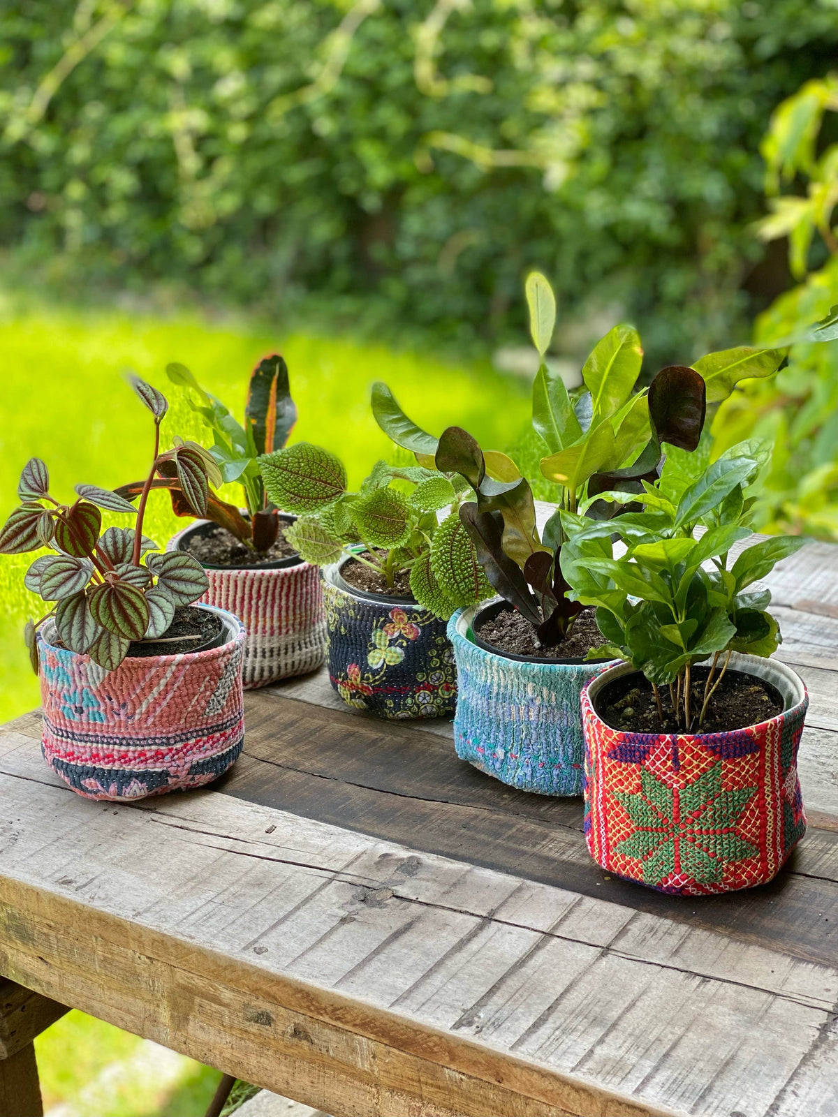 Assorted Pattern Soft Cozie Container