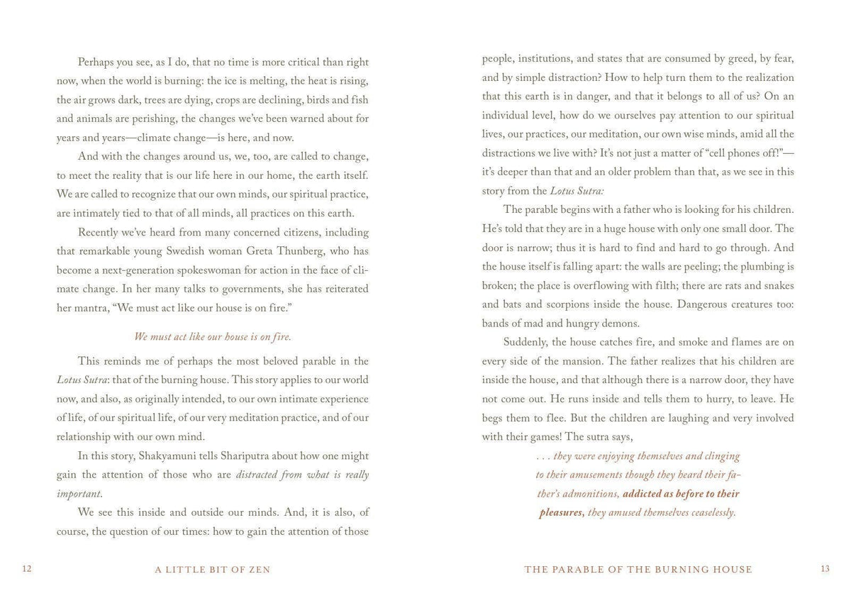 Little Bit of Zen by Roshi Pat Enkyo O’Hara